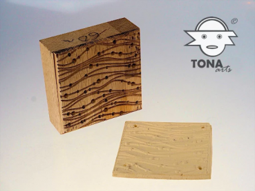 No.SL2 seamless plant cell structure